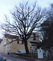 Vorschaubild der Version vom 15:53, 8. Mär. 2012