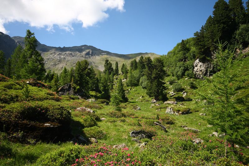 Datei:Schönalm weißpriach 29787 2016-07-10.jpg
