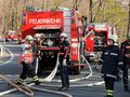 Waldbrand Gaisberg 20090412.jpg