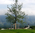 Walser Birnbaum, Nordansicht.jpg