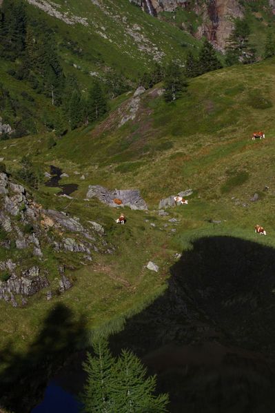 Datei:Gralatisee 32875 2016-08-25.jpg