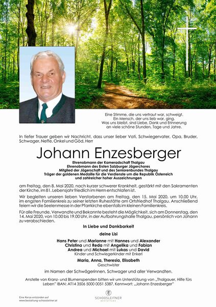 Datei:Parte-Enzesberger-Johann-web.jpg