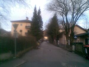 Wilhelmsederstraße.jpg