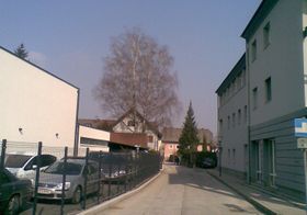 Burgfriedgasse.jpg