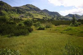 Hundsfeldmoor obertauern 31140 2016-08-04.jpg