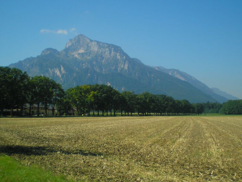 Datei:Keltenallee.jpg
