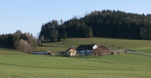 Moosbauerngut mit Bomberg.jpg