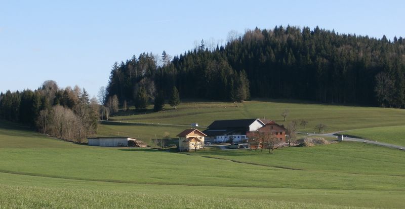 Datei:Moosbauerngut mit Bomberg.jpg