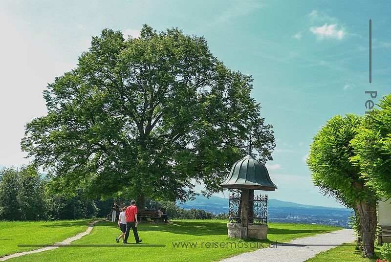 Datei:Maria Plain Plainlinde Ziehbrunnen.jpg