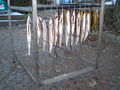 PC220077.JPG