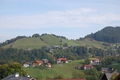 Blick zum Kranzbichl am Dürrnberg.jpg