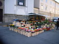 Grünmarkt am Universitätsplatz.jpg