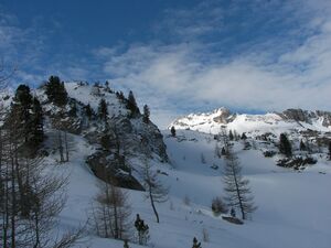 Im fuchskar 88404 2007-02-14.jpg