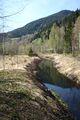 Mandlinger moor 69842 2018-04-18.jpg