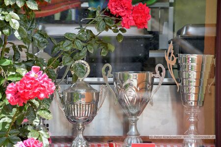 2025 06 23 Tennisplätze Tennisclub Neumarkt Wallersee Ostbucht 05.jpg
