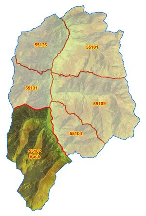 55102 Bach.jpg