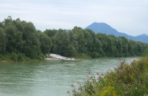 Fischachmündung in die Salzach Fischachmündung in die Salzach.jpg