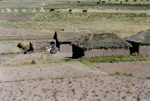 Gruell Peru 05.jpg