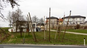 Hopfenpfanzung beim Stieglgut Wildshut.JPG