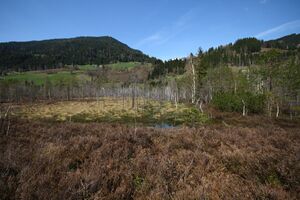 Mandlinger moor 69709 2018-04-18.jpg