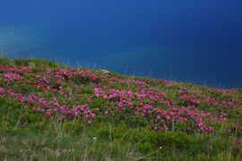 Schönalmsee, obere 29890 2016-07-10.jpg