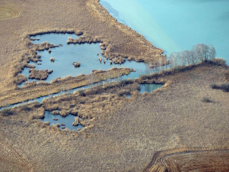 Datei:Entenlacke, Gr. Seekanal.jpg