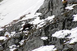 Hochkönig00 0316.jpg