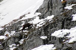 Hochkönig00 0316.jpg