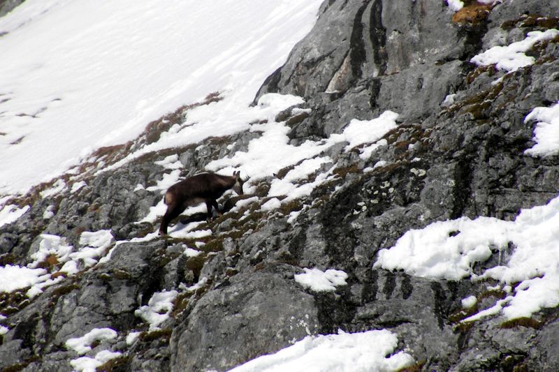 Datei:Hochkönig00 0316.jpg