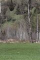 Mandlinger moor 69689 2018-04-18.jpg