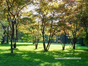 2004 09 19 Hellbrunn Schlosspark Salzburg 6.jpg