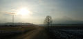 Gois in der Abendsonne, mit Staufen.jpg