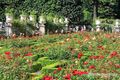 Rosengarten im Mirabellgarten 08.jpg