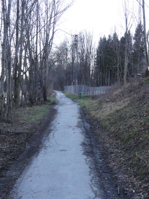 Salzachtreppelweg in Neualm.jpg