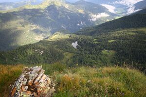 Tauernkarsee -seekarspitze 31306 2016-08-04.jpg