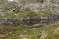 Wirpitschsee, obere-weißpriach 29652 2016-07-10.jpg