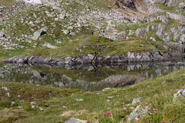 Wirpitschsee, obere-weißpriach 29652 2016-07-10.jpg