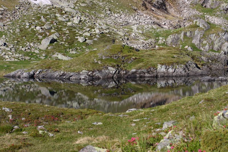 Datei:Wirpitschsee, obere-weißpriach 29652 2016-07-10.jpg