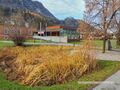 2012 11 24 Gemeindeamt Grödig Teich.jpg