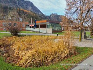 2012 11 24 Gemeindeamt Grödig Teich.jpg