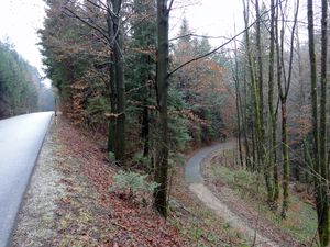 Alte neue straße.jpg