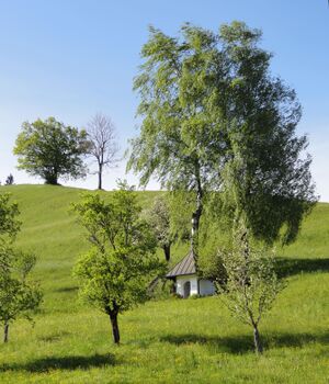 Kapelle am Irrsberg (2).jpg