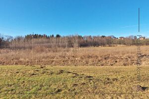 LSG Wallersee Ostbucht 17 Jan 2020 3.jpg