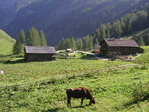 Rauriser Tauernhaus.jpg