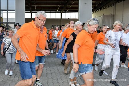 2025 08 09 Oldtimertreffen Oldtimerfreunde Neumarkt 103.jpg