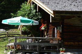 Fallhausalm forstau 63658 2013-07-23.jpg