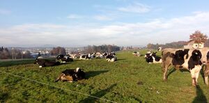 Herbstliche Mühlbergimpression in Richtung Seekirchen.JPG