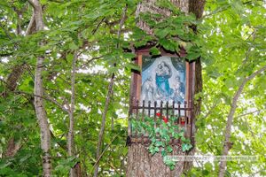 Marieninsel Wallersee Ostufer 02.jpg
