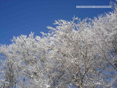 2006 01 16 Maria Plain Winter Bergheim 24.jpg