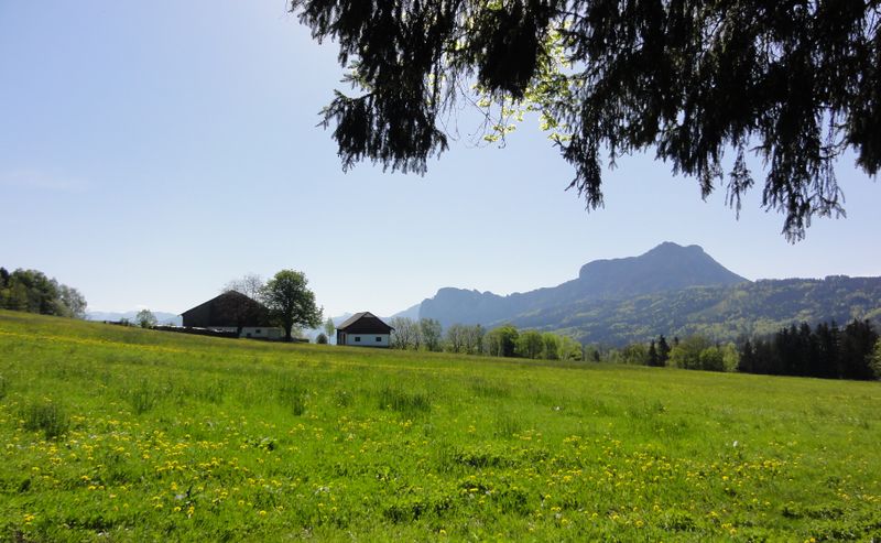 Datei:Erste Maisonne.jpg